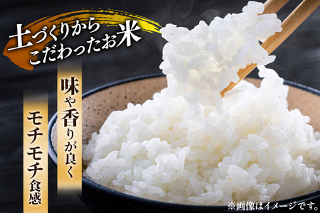 【白米】《定期便》 5kg×6回 令和7年産 ひとめぼれ 土作り実証米 合計30kg 秋田県産