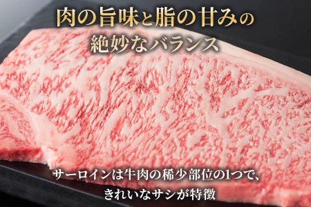 高級和牛をステーキで！[A5等級]飛騨牛サーロインステーキ用 600g(300g×2枚) [0163]