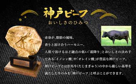 神戸牛 焼肉セット 牛肉 焼肉用 肩 もも 500g / 焼き肉 セット 食べ比べ 牛 肉 霜降り 但馬牛 黒毛和牛 和牛 国産牛 焼肉 やきにく アウトドア キャンプ BBQ 太田牧場 太田牛 神戸ビーフ TYY2 【但馬牛太田家】
