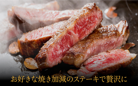 神戸牛 ロースステーキ 500g(250g×2枚) / 牛肉 ステーキ ロース 霜降り ステーキ肉 但馬牛 黒毛和牛 和牛 国産牛 赤身 ステーキ 牛 肉 焼肉 太田牧場 太田牛 神戸ビーフ TYST5【但馬牛太田家】
