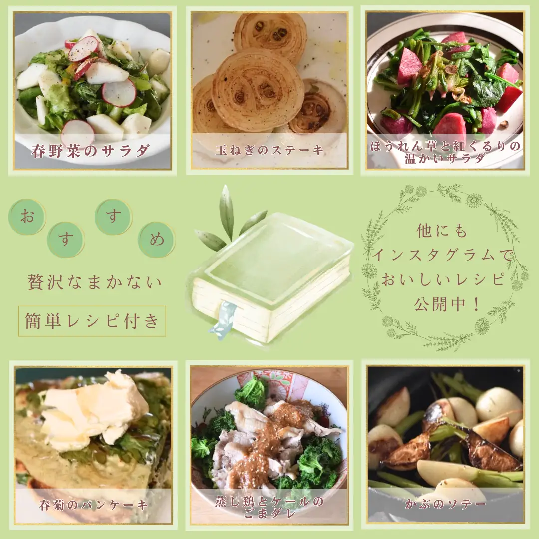【先行受付】有機野菜ちいさな畑セット（Lサイズ　３～４人前）有機野菜［NK-102］