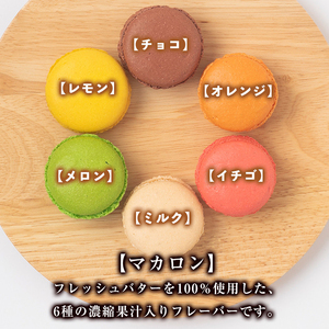 isa245 伊佐銘菓！フレッシュバター100％使用！トリコロールのマカロン(6個)洋菓子 マカロン お菓子 スイーツ デザート ミルク イチゴ オレンジ レモン メロン チョコ 冷凍 冷凍便【ケーキハウストリコロール】