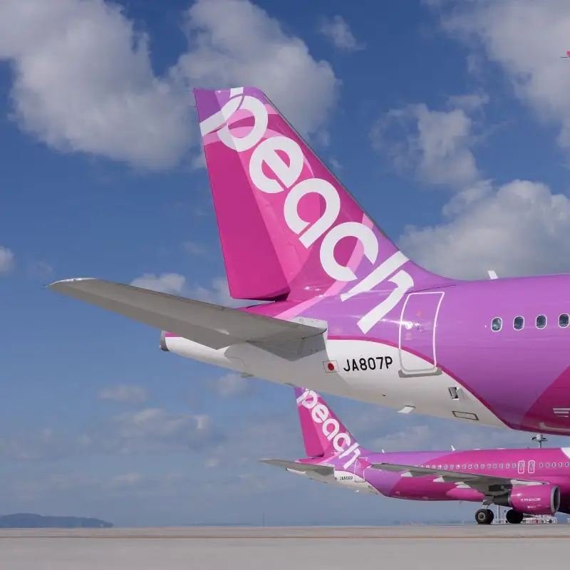 PeachでGo！！泉佐野市宿泊 旅行クーポン（30,000円分）