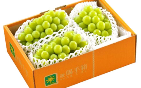 山形おきたま産 冬のシャインマスカット 秀2～4房（約1.5kg） 山形県産 フルーツ 果物 ブドウ ぶどう 葡萄 【2026年12月下旬順次発送予定】
