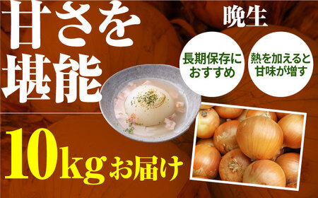 【先行予約】農家直送 玉ねぎ 約10kg / 玉ねぎ [IAO001]
