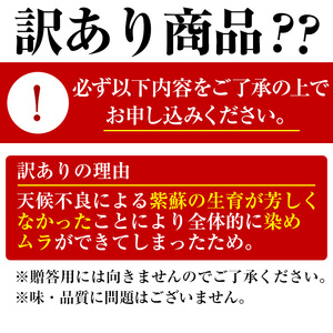 ＜訳あり＞ 南高梅 梅干し (1.1kg) 国産 うめ うめぼし 紫蘇【ルピナス会】【0111503a】
