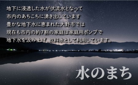 【令和7年産】こしひかり（福井県大野市産）エコファーマー（白米）米3kg [A-003004]