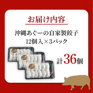 沖縄あぐーの自家製餃子