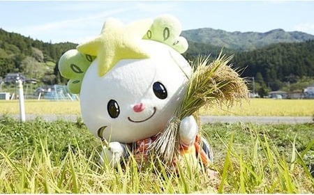 令和7年産 玄米 10kg 品種 たかたのゆめ 陸前高田市 オリジナル ブランド米 冷めてもおいしい