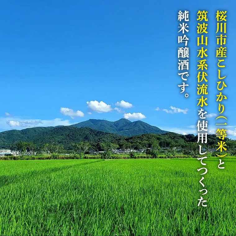 花の井 純米吟醸 原酒 2本セット 酒 お酒 日本酒 茨城県[AD001sa]