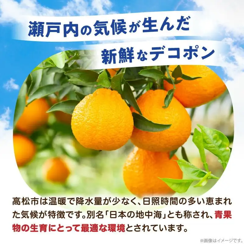 高松産季節の果物＜ご家庭用　デコポン＞約4.5kg【2027年2月下旬～2027年4月上旬配送】