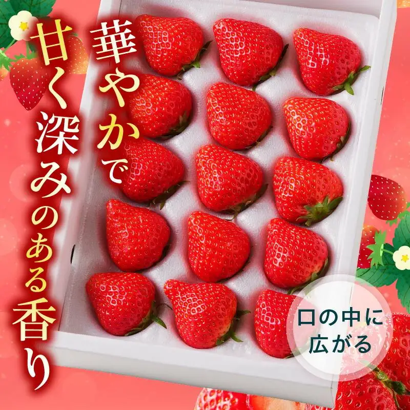 さぬきひめいちご化粧箱　2箱(各約400g)【2027年1月上旬～2027年4月下旬配送】
