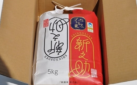 【令和7年産米】甘味の強いプレミアム米 新潟県認証特別栽培米 新之助 白米 5kg アグリーホンマ[Y0358]