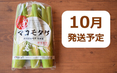 【先行予約・数量限定】ヤタらうんめぇ マコモタケ 1kg | マコモダケ 希少野菜 柏崎地場特産品 水田環境鑑定士在籍[ZA043]