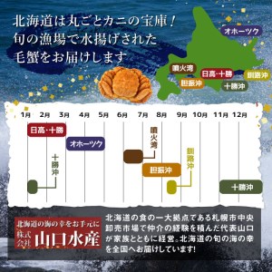【北海道産】『冷凍』毛ガニ350g前後×6杯【急速冷凍】【520017】