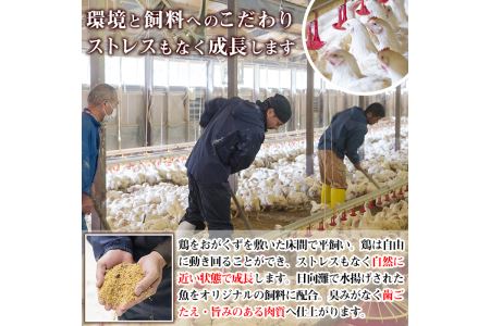 宮崎県産ブランド鶏「夢創鶏」もも切身(計1.6kg・200g×8P)鶏肉 カット済 小分け  冷凍 【C-4】【株式会社 英楽】