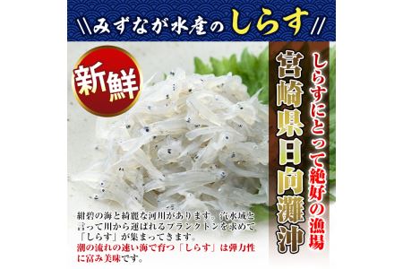 宮崎日向灘どれ釜揚げしらす丼(15食分)魚 小魚 魚介類 小分け シラス おつまみ カルシウム 釜揚げ 冷凍 海鮮丼 【E-10】【水永水産】