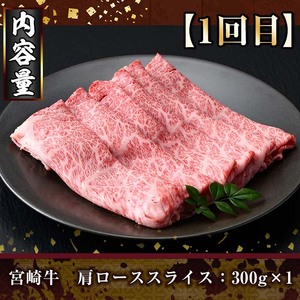 ＜定期便・全3回(連続)＞宮崎牛定期便(Aセット)国産  黒毛和牛 冷凍【R-69】【株式会社ミヤチク】