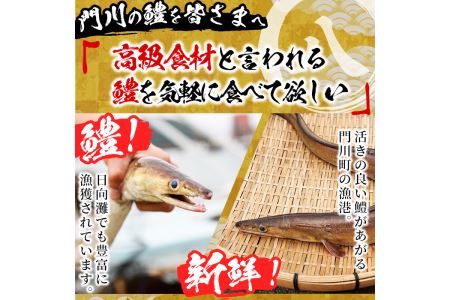 門川金鱧(計1.5kg)骨切り済 ハモ 小分け 冷凍 魚介類 鍋 丼 国産 宮崎県 門川町【O-1】【門川漁業協同組合】