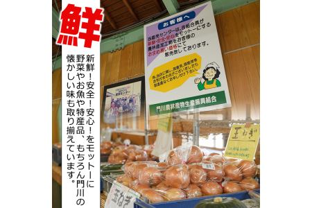 懐かしい味の油みそ3種類セット(合計約2kg・油みそ×5、ピリ辛×5、ちりめん×6)味噌 おつまみ ご飯のお供 調味料 食べ比べ 国産【G-1】【旬鮮かどがわ直売センター】