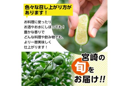 ＜先行予約受付中！2026年6～7月の間に発送予定＞期間限定！門川町産へべす(1kg)柑橘 果汁 国産 特産品 宮崎県 門川町【AM-1】【川崎農園】