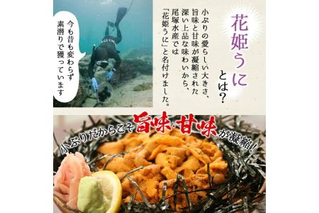 ＜鹿児島県産うに使用＞濃厚なウニの瓶詰め(4種)国産 九州産 鹿児島産 ウニ うに 雲丹 海胆 水産加工品 ムラサキウニ あわび アワビ 鮑 おつまみ【尾塚水産】akn004-21