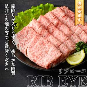 H-101 肉質最高ランク5等級 鹿児島黒牛すき焼きセット(計約600g)国産 九州産 鹿児島産 国産牛 牛肉 5等級 霜降り すきやき しゃぶしゃぶ セット【鹿児島いずみ農業協同組合】akn018-33