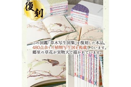 丹宗律光画集(全12巻)美術品 丹宗律光 画集 絵画 図鑑 古書 書籍【生涯学習課】akn012-02