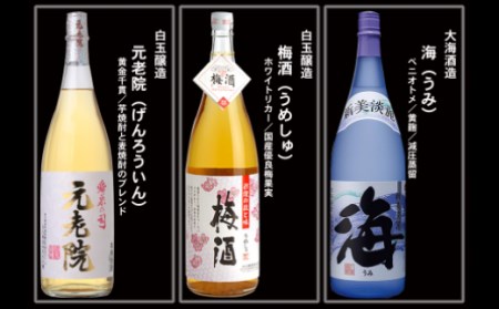 No.10004-1 大隅蔵めぐり　飲み比べ一升瓶10本セット