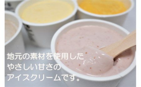No.1018-1 ご当地アイスセット
