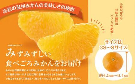 瀬戸内温州みかん　厳選高糖度　約10kg【2026年10月中旬～2027年1月中旬配送】