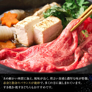 北海道 標茶町 星空の黒牛 肩ロース すき焼き用 500g×2   牛肉   ロース 北海道産　|  ロース