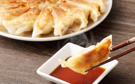 冷凍餃子５袋（えむちゃん５袋100個） ぎょうざ | NPO法人プラス・ワン 第２むくのき 冷凍 餃子 国産豚肉 ぎょうざ 小分け M12S115