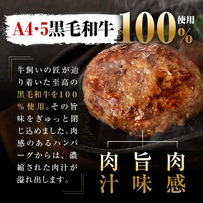 鹿児島県産 黒毛和牛 100%使用 極上 ハンバーグ(計1.2kg) a6-027