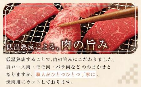 松喜屋 近江牛 厳選焼肉用 約500g（3～4人前） | 焼肉