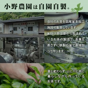 紅茶 ティーバッグ 3種セット (オリーブ紅茶、和紅茶、発酵いちょう葉紅茶・各12個) お茶 紅茶 茶 茶葉 セット 詰め合わせ 大分県 佐伯市【ES04】【小野農園】
