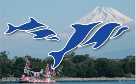 エアコン 専用 熱中症予防 ステッカー 絶対温管 エアコン