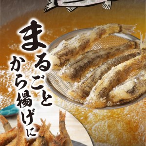 【訳あり】天然めひかり(極小ｻｲｽﾞ)500g×4袋 N124-YZA0397