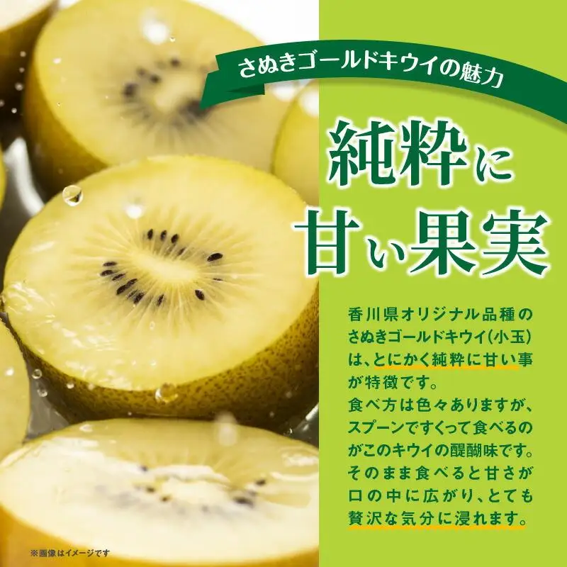 訳あり ご家庭用 さぬきゴールドキウイ (小玉) 約1kg【2026年10月中旬～2027年1月下旬配送】