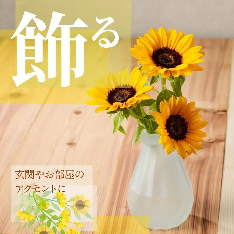 ヒマワリ切花(長さ60～80cm)【2026年6月中旬～2026年9月下旬配送】