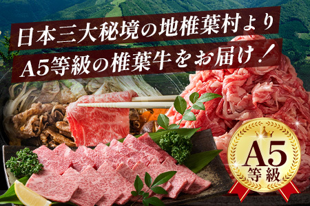 牛肉 宮崎県産 椎葉牛 ヒレ肉 480g お試しステーキソース付き A5等級指定 ヒレ 牛ヒレ肉 牛肉 TK-24
