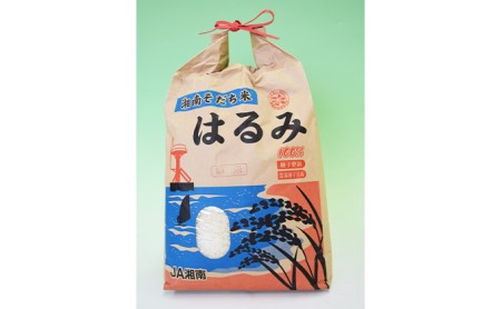 お米 2kg 鯛ご飯 セット お米
