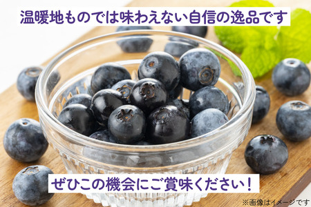 〈先行予約〉 生食 ブルーベリー 1kg [ノーザン・ベリーズ 北海道 砂川市 12260529]