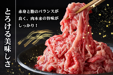  牛肉 宮崎県産 和牛 切り落とし 900g 牛肉 肉 牛切り落とし TK-35