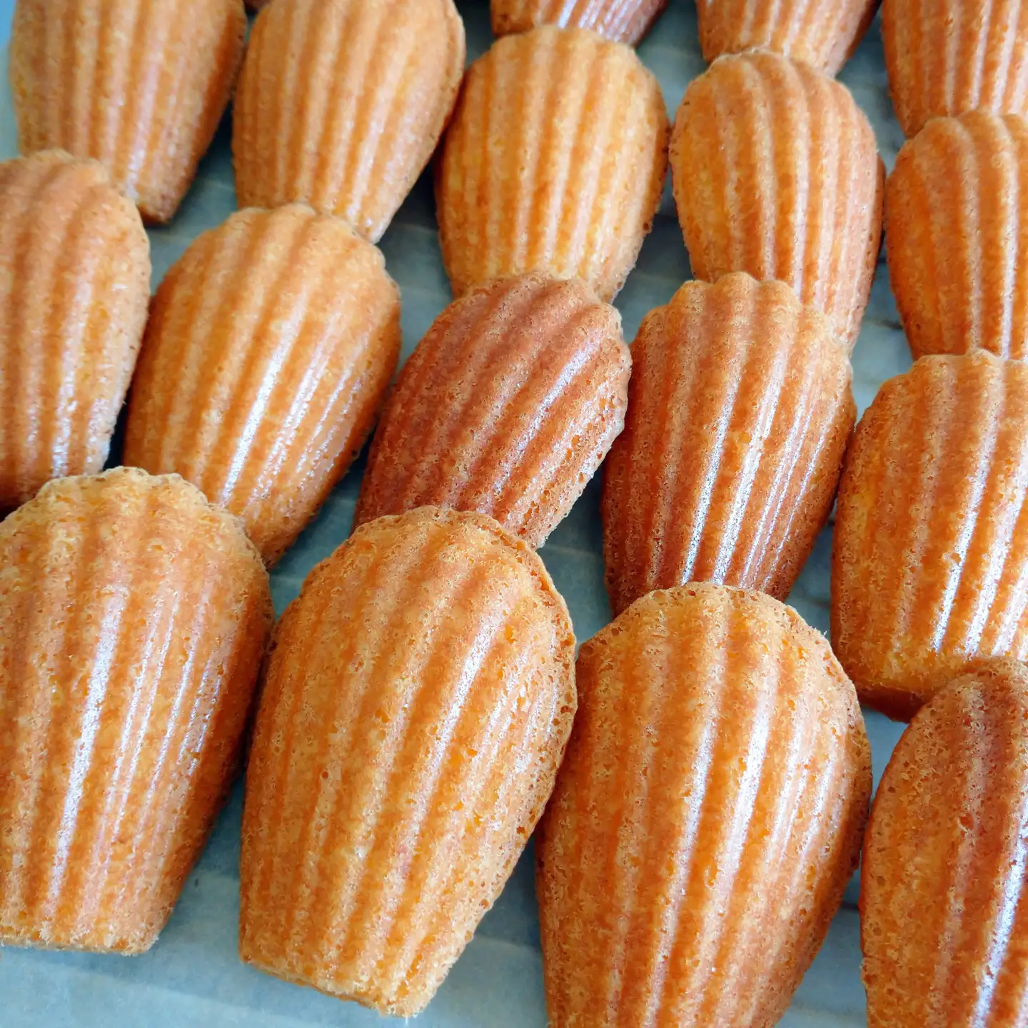 別海 バター 焼き菓子 詰め合わせ 【CM0000004】(北海道 クッキー マドレーヌ フィナンシェ サブレ ダッコワーズ スイーツ)