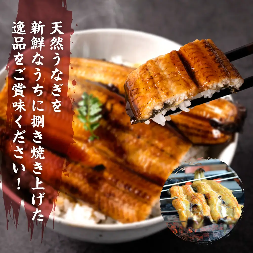 熊本県八代市産 天然うなぎ 白焼 (中) 2尾 合計300g前後 蒲焼のたれ付き 鰻 国産 蒲焼 ウナギ うなぎ 丑の日 冬が旬 冷凍 熊本県 八代市