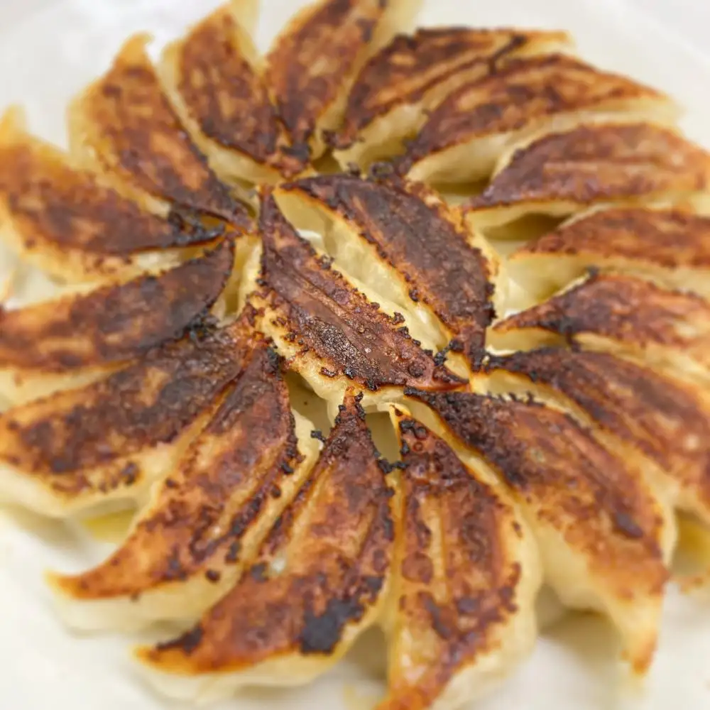 【餃子の虜や】虜や餃子と大葉餃子のハーフ&ハーフセット