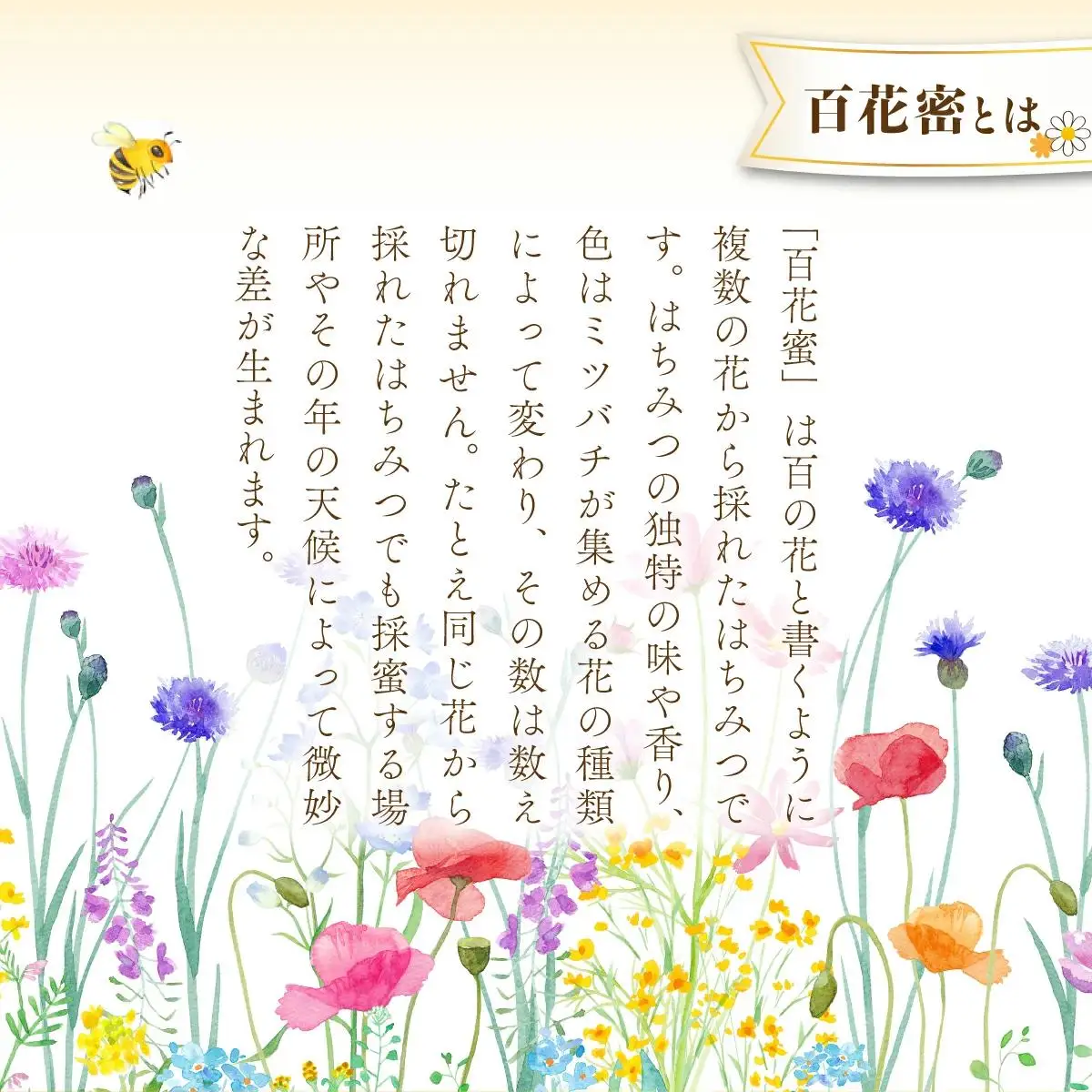 はちみつ 蜂蜜一筋81年 上峰町の熊手蜂蜜 国産「百花蜜」 800g×2本 はちみつ