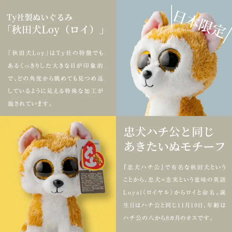 35P7303 Tyぬいぐるみ秋田犬Loy(ロイ)　2個セット 【配送日指定不可】