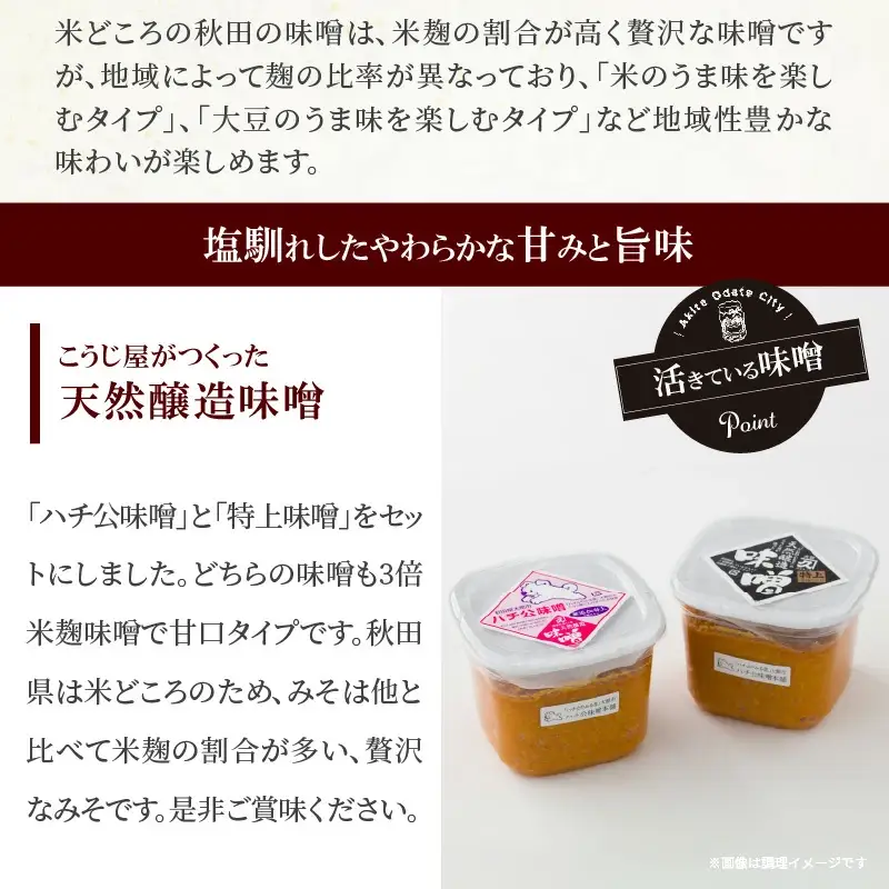 秋田味噌「ハチ公」「特上」セット　45P4002